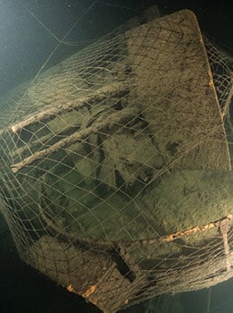 The Z-36 is covered in trawl netting.