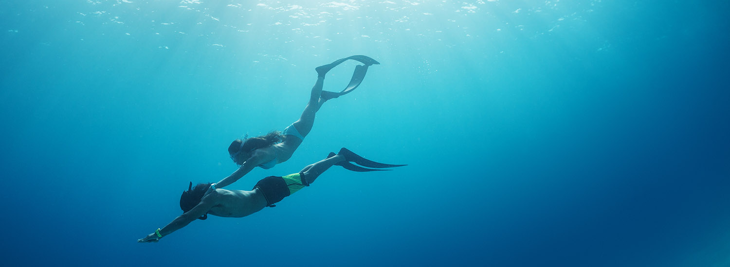 Underwater,empathy freedom – the beauty of our underwater world