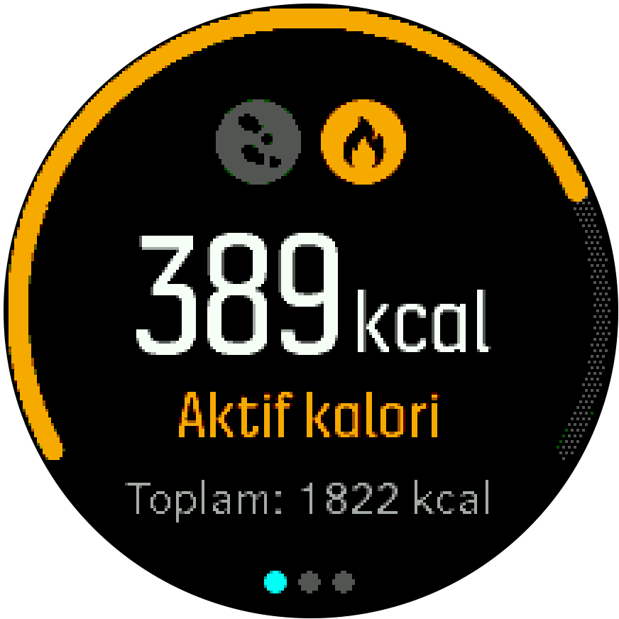 ActivityMonitoring calories Spartan Trainer