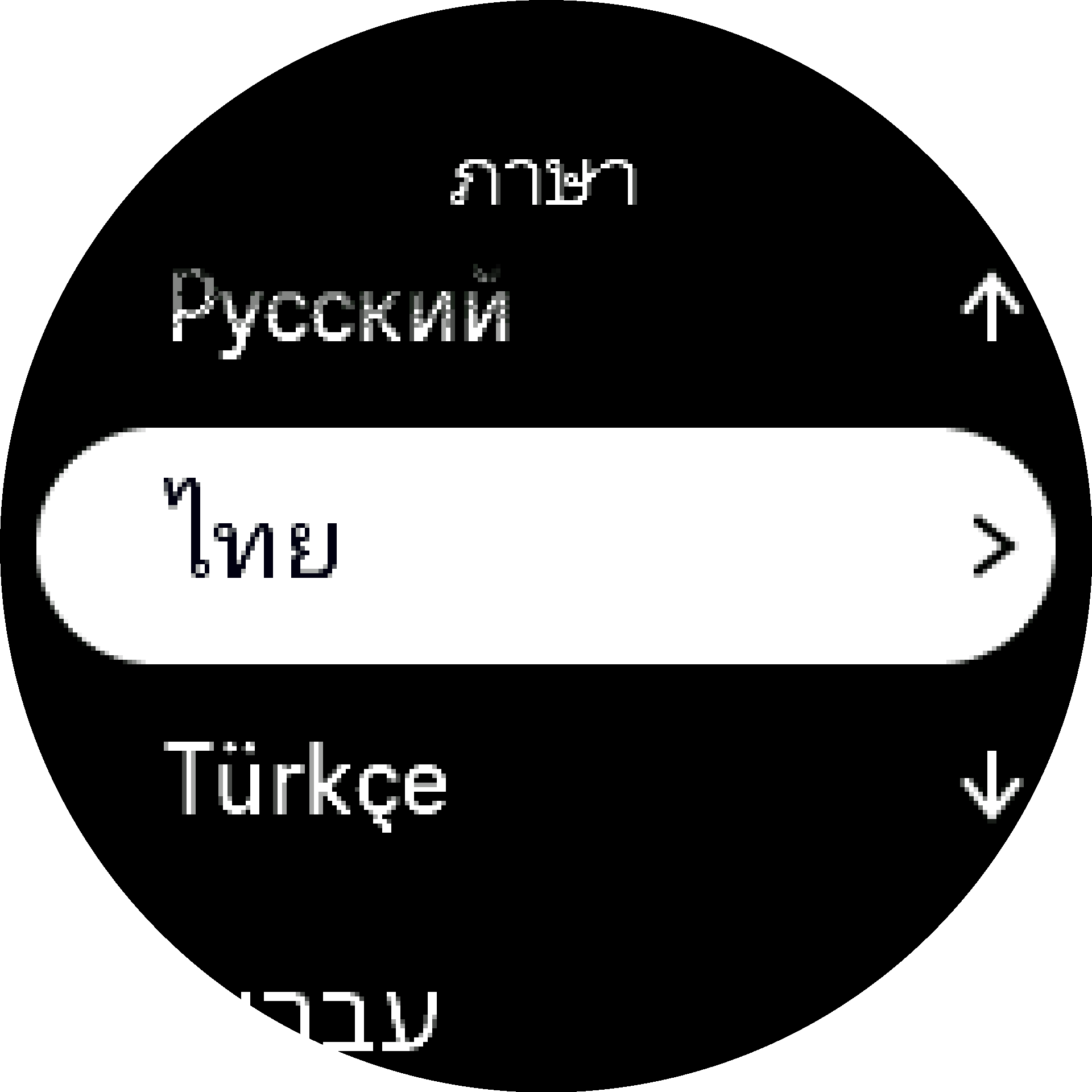 เลือกภาษา S9PP