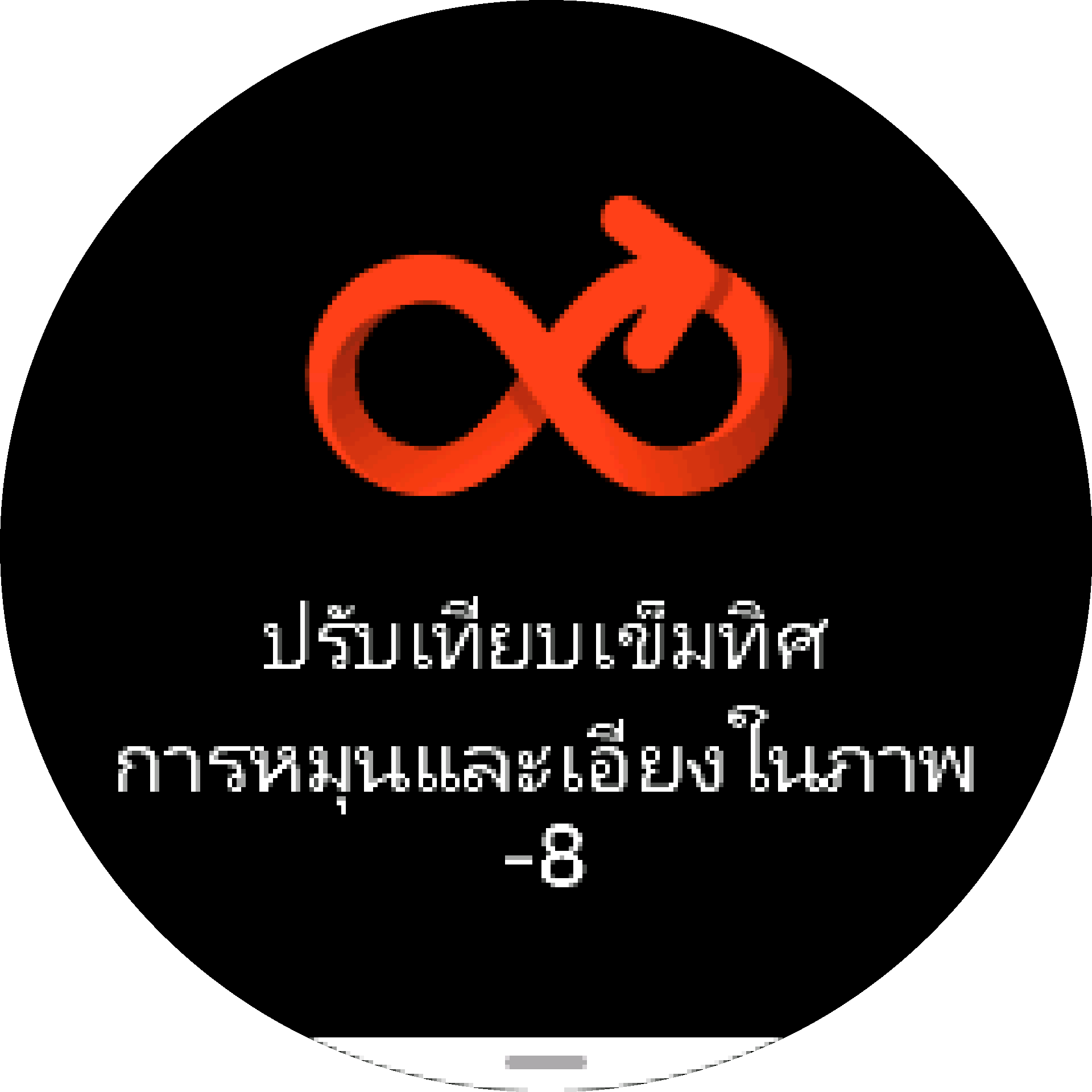 ปรับเทียบเข็มทิศ S9PP