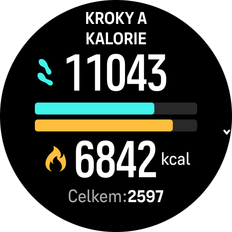 Kroky a kalorie Phoenix