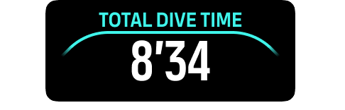 switchfield total dive time
