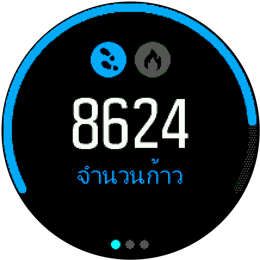 ActivityMonitoring steps Spartan Trainer