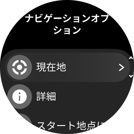 ナビゲーションオプション Race