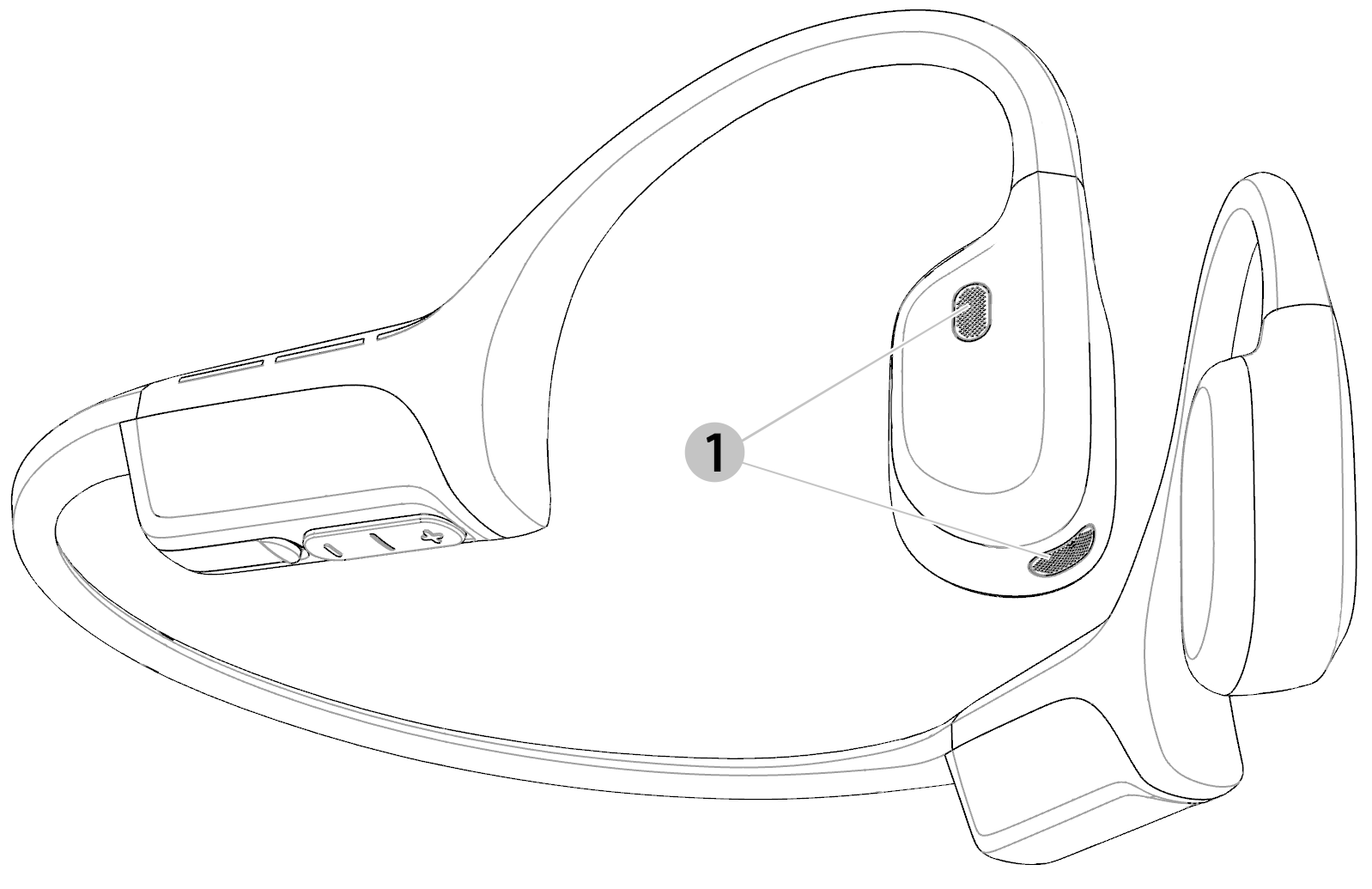 dual microphone