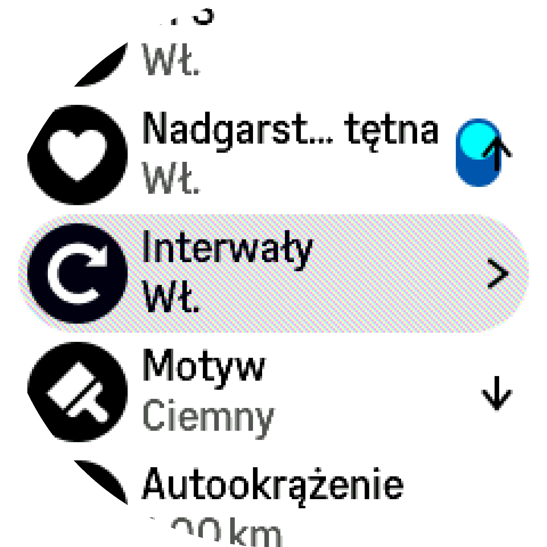 Interval training settings S9PP