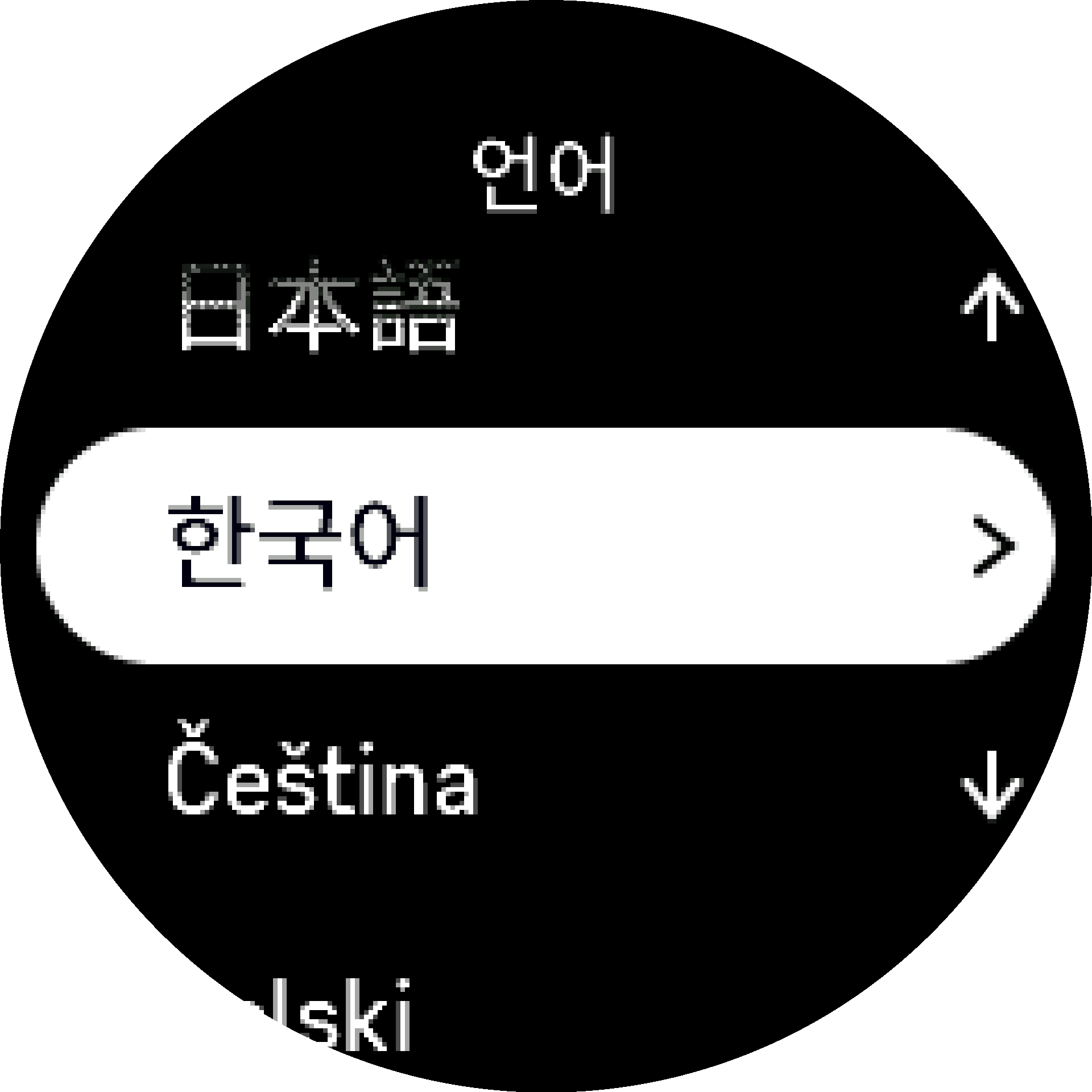 언어 선택 S9PP
