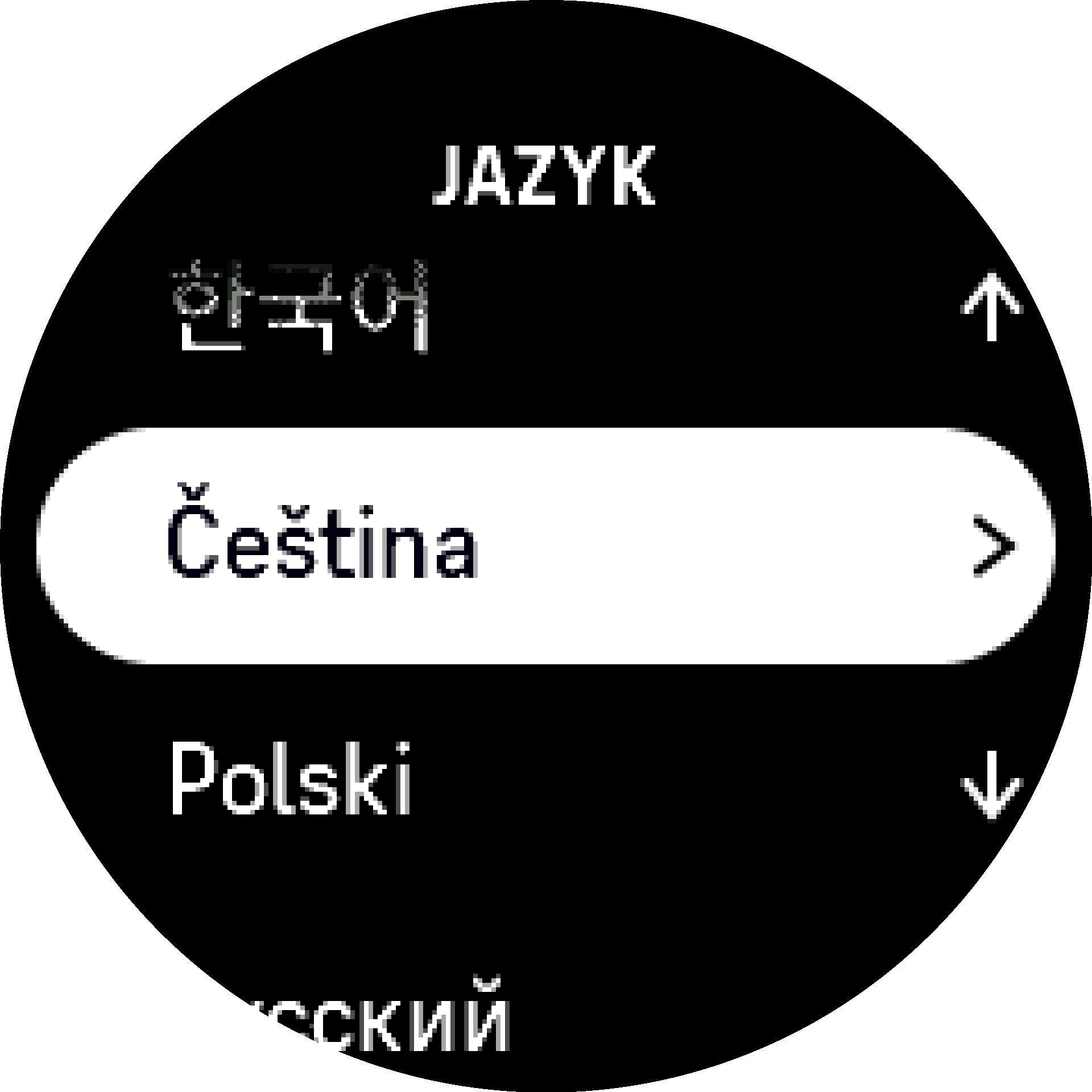 Výběr jazyka S9PP