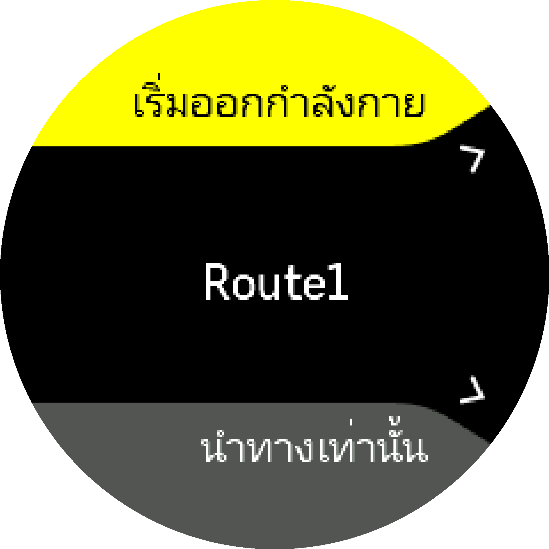 การออกกำลังกายในเส้นทาง S9PP