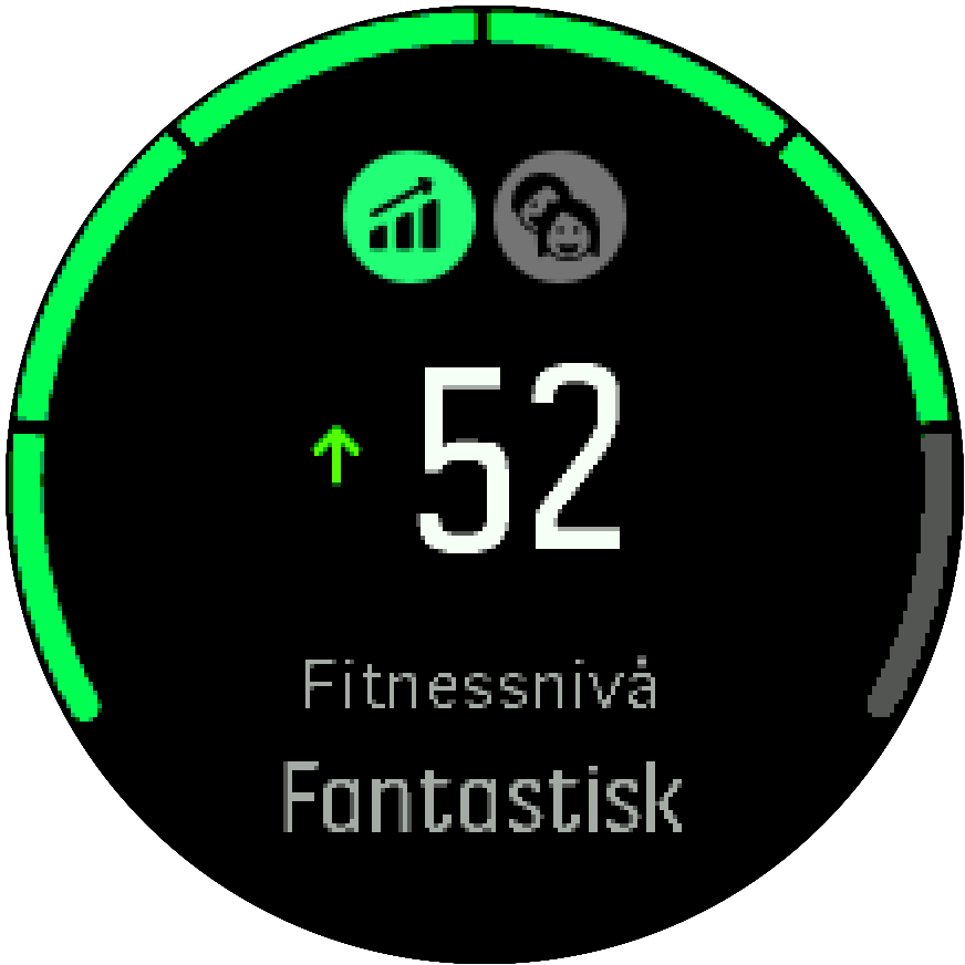 SF3 Fitness Level