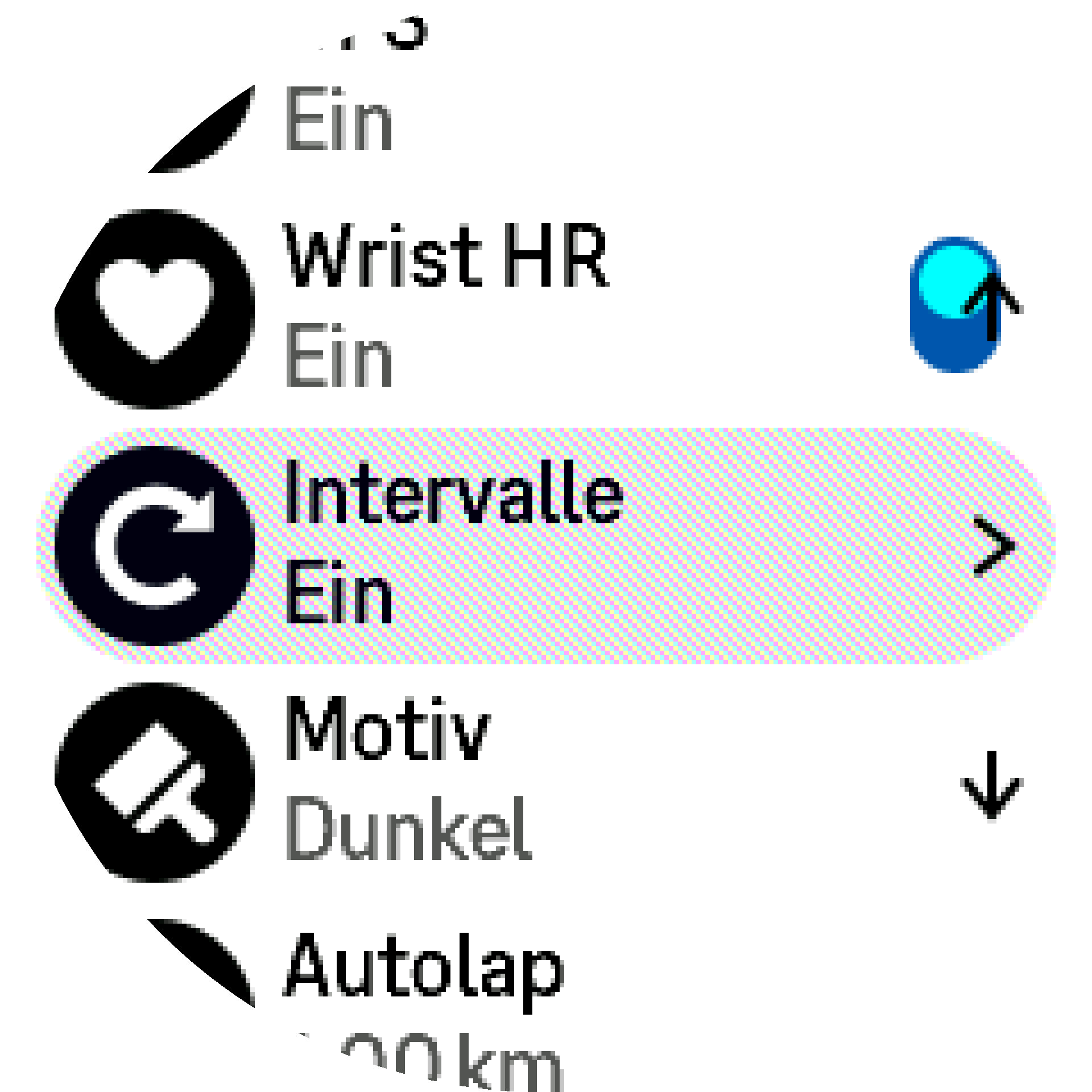 Einstellungen für Intervalltraining S9PP