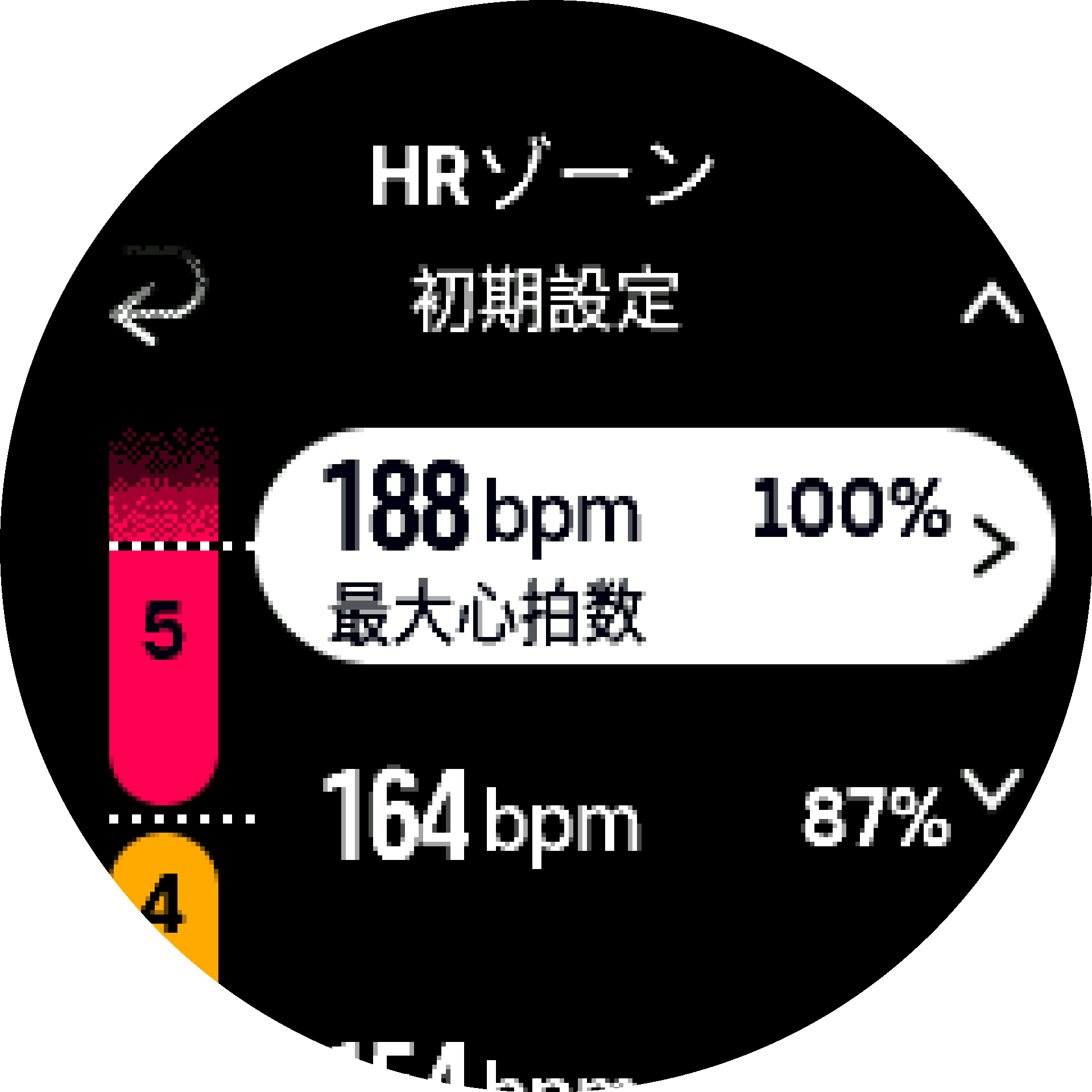 標準最大心拍数 S9PP