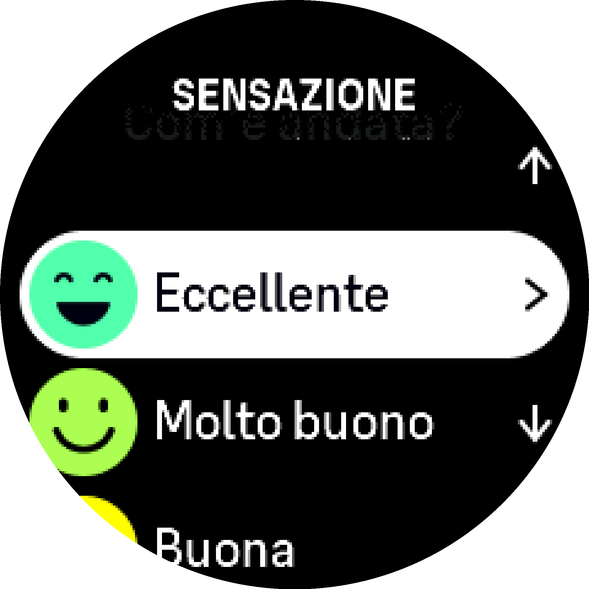 Come è andata S9PP