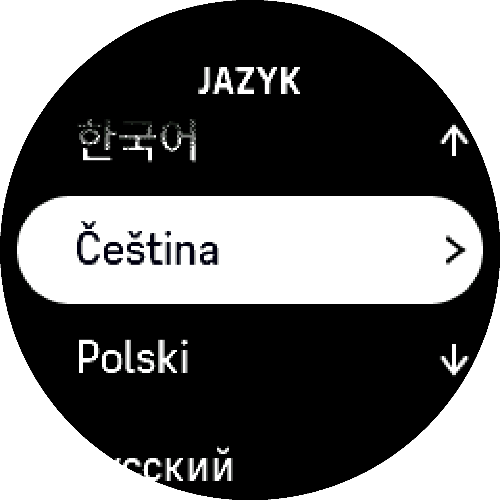 Výběr jazyka S9PP