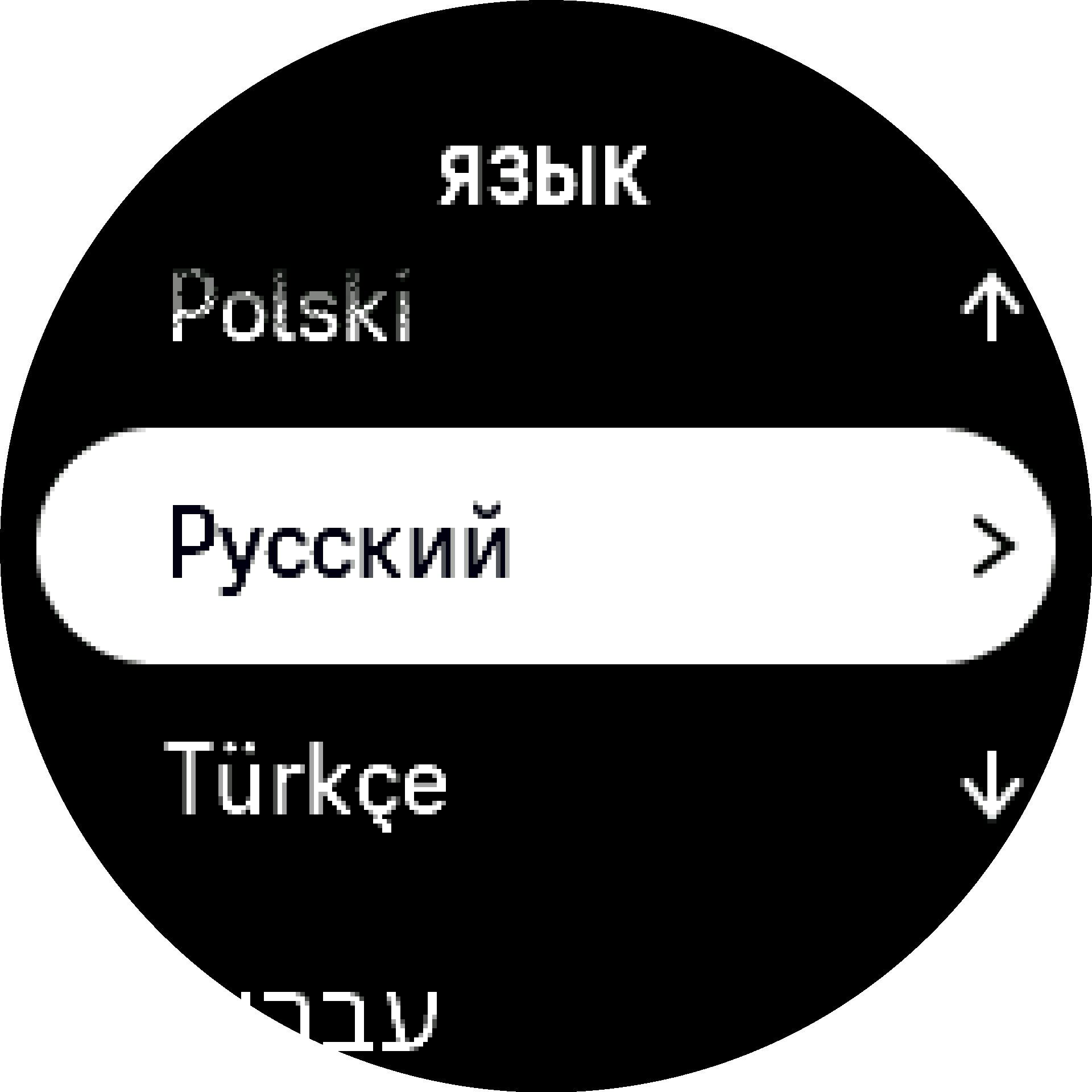 Выберите язык S9PP