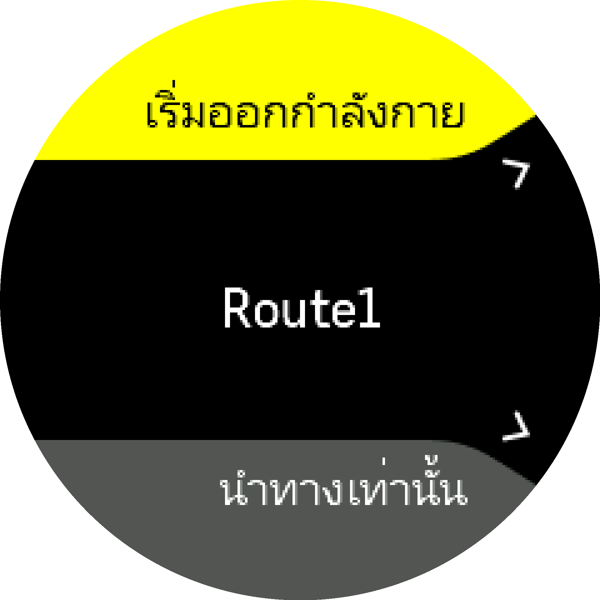 การออกกำลังกายในเส้นทาง S9PP