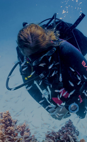 Ordinateur Suunto Nautic Bungee I Le nouveau fleuron de Suunto
