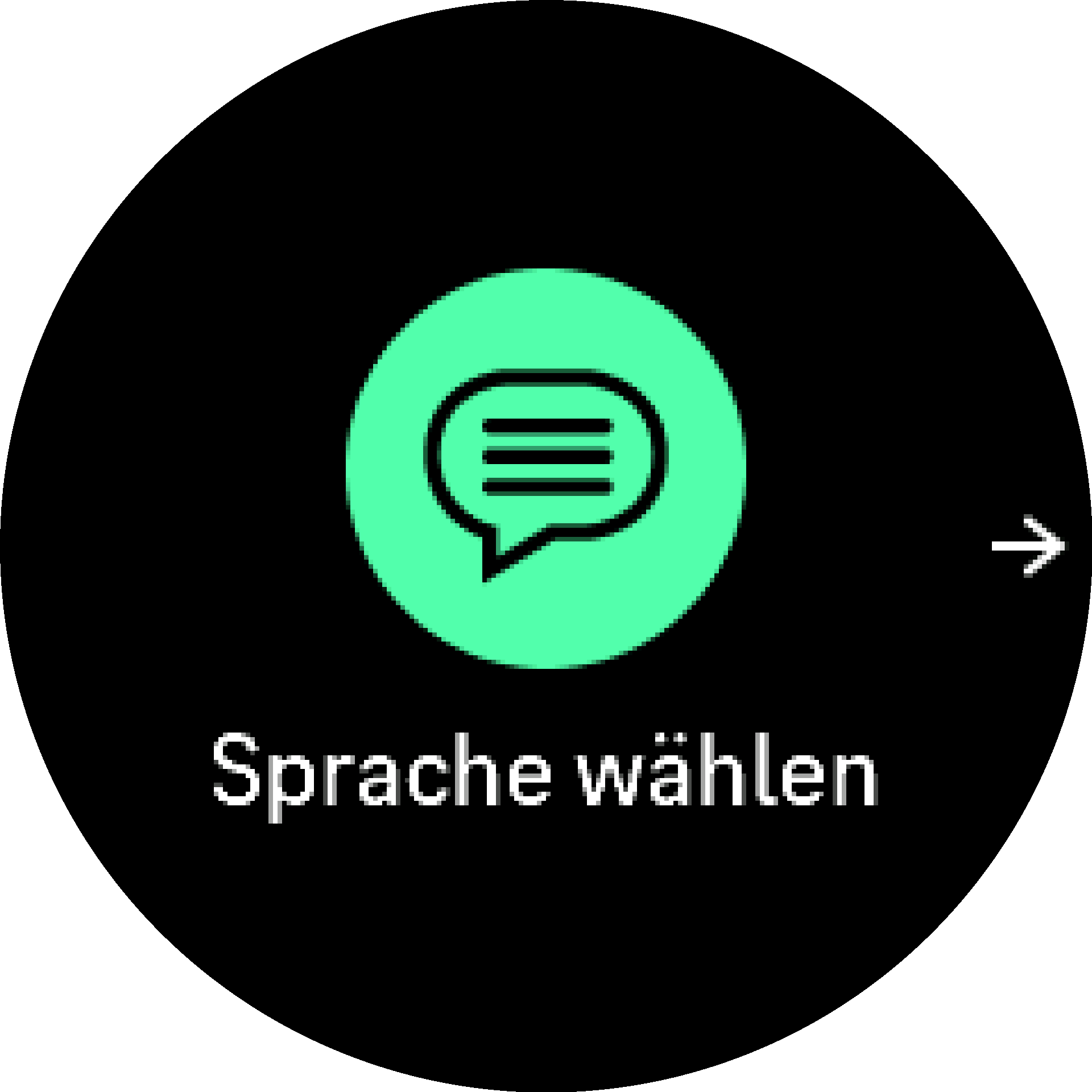 Startassistent S9PP