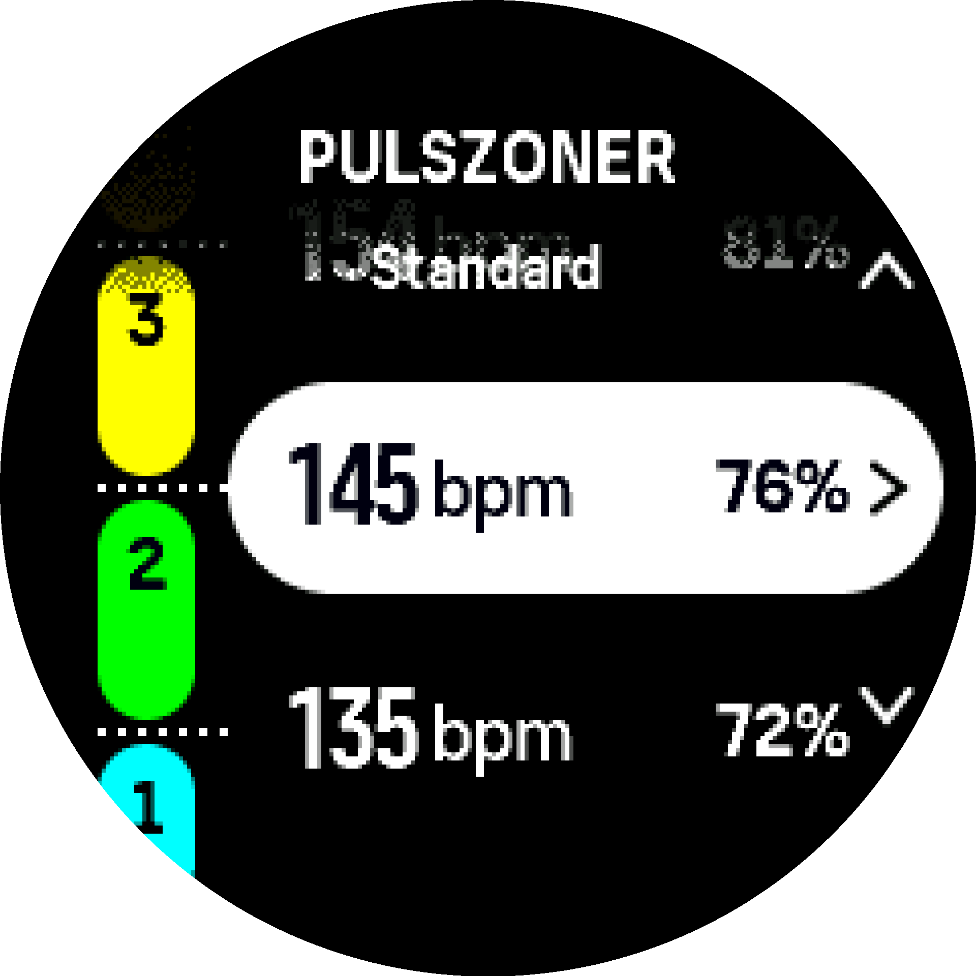 Default HR zone S9PP