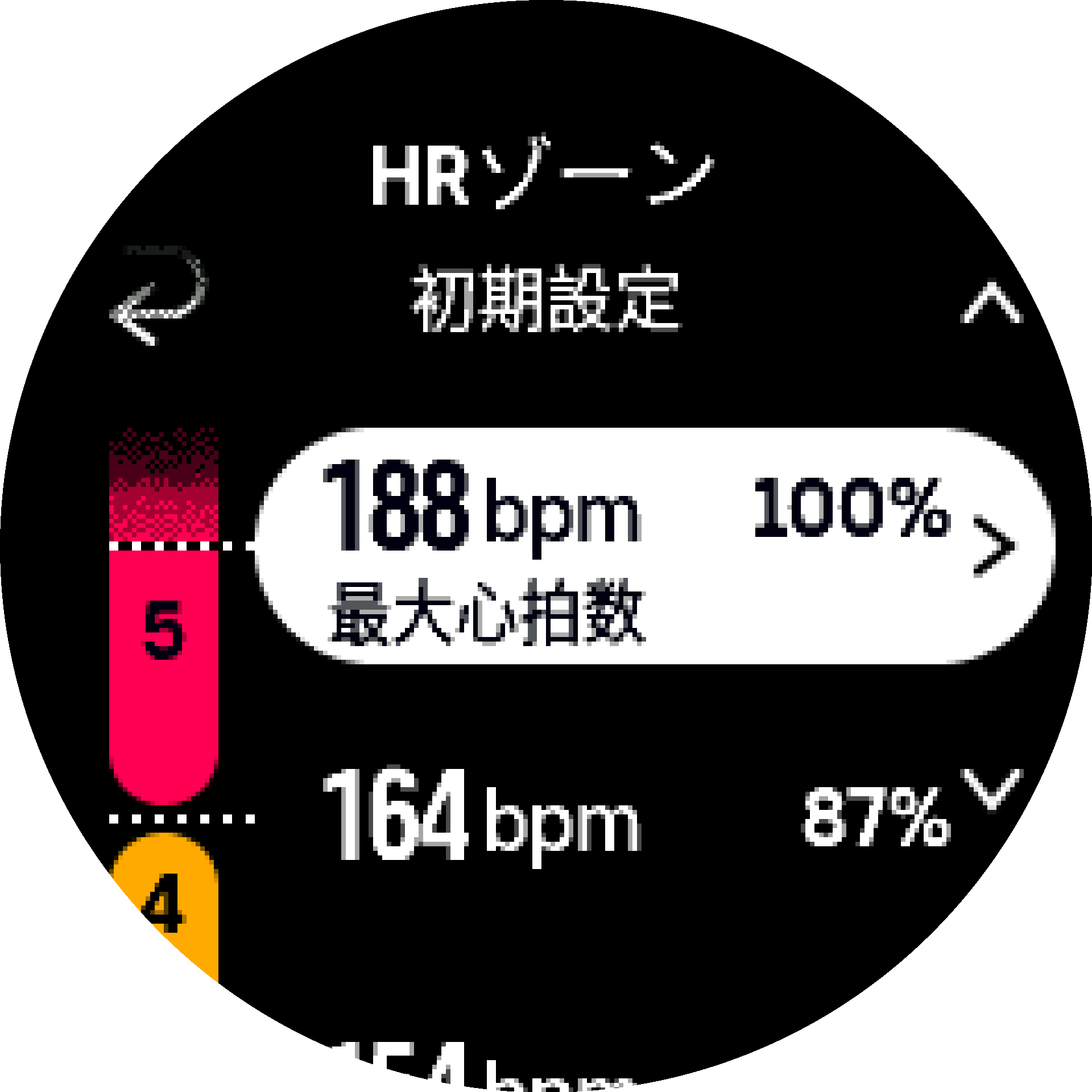標準最大心拍数 S9PP