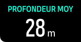 switch window configure avg depth