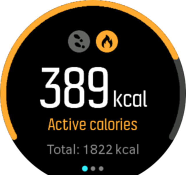 ActivityMonitoring calories Spartan