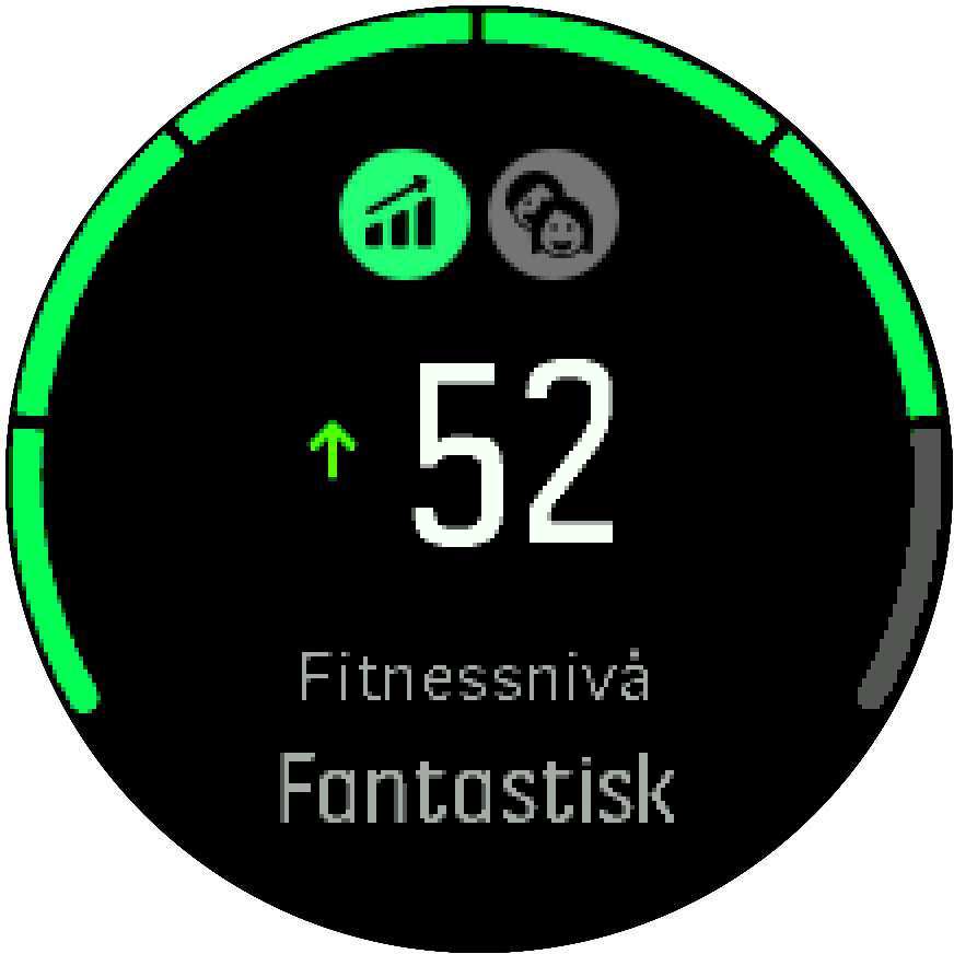 SF3 Fitness Level