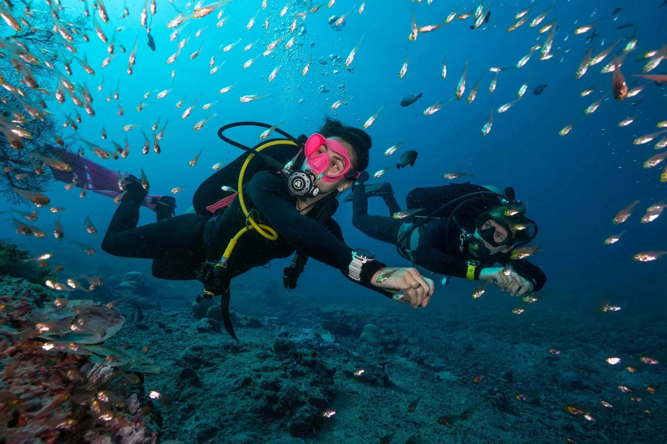 scuba diving