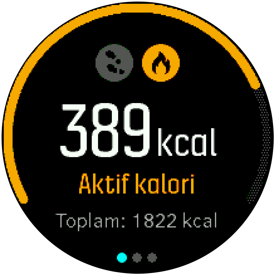 ActivityMonitoring calories Spartan Trainer