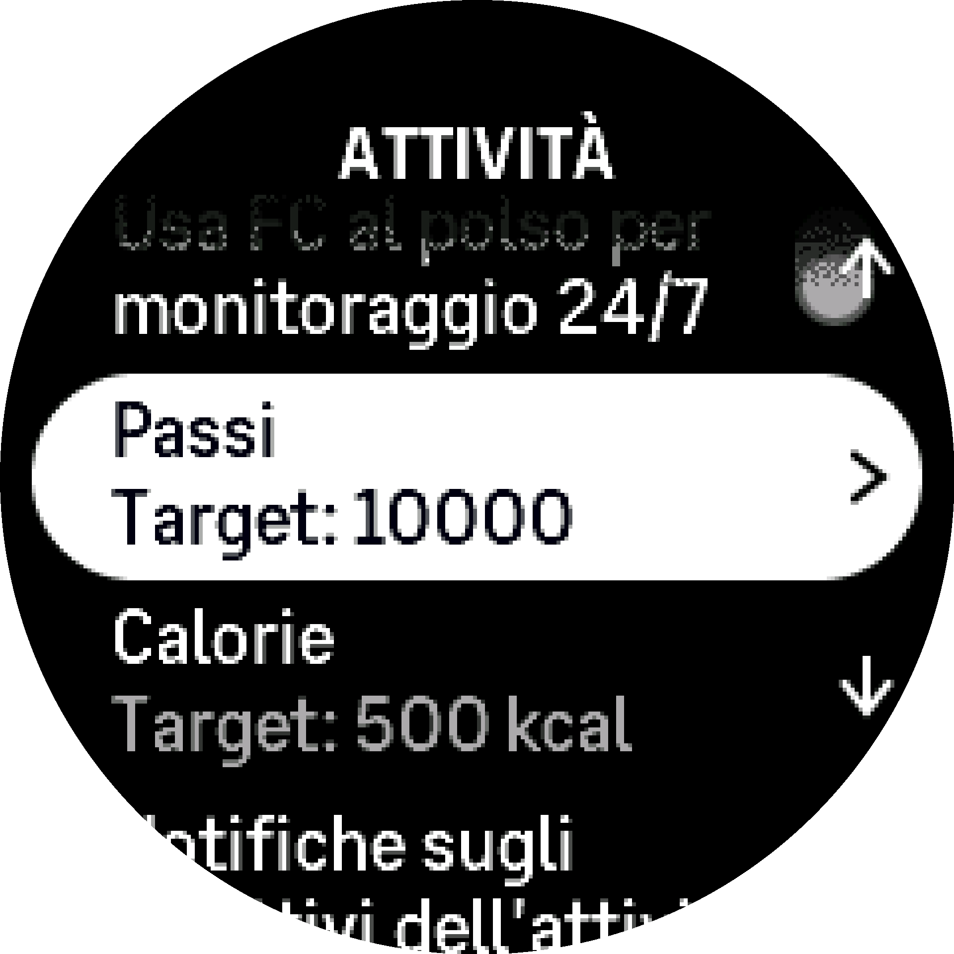 Obiettivi attività S9PP