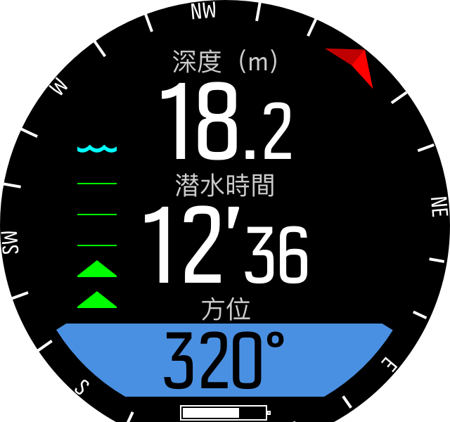 Gauge compass D5