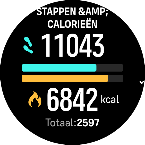 StepsCal Phoenix