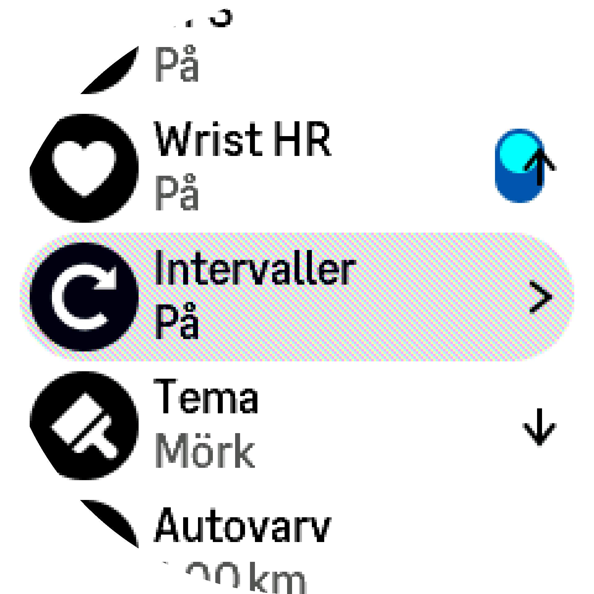 Inställningar för intervallträning S9PP