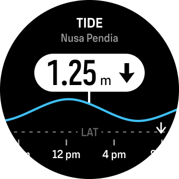 13.6 dive stats tide widget