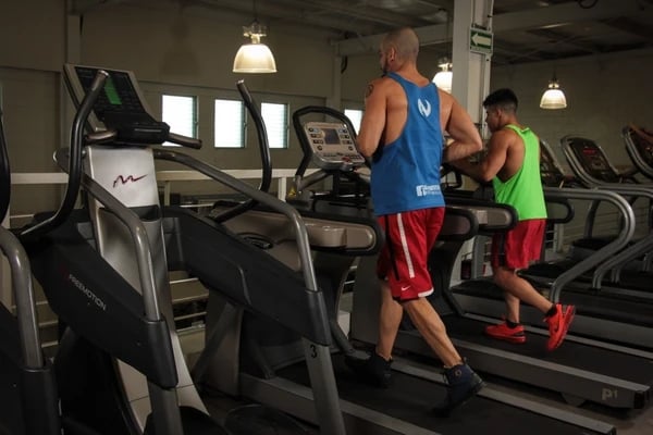 constant-load running on treadmill