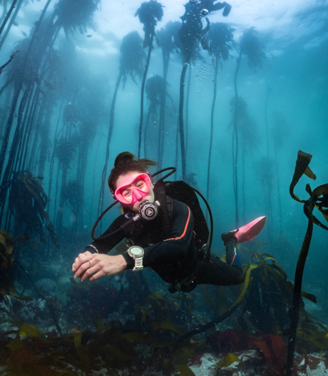 EMEA - Dive offer