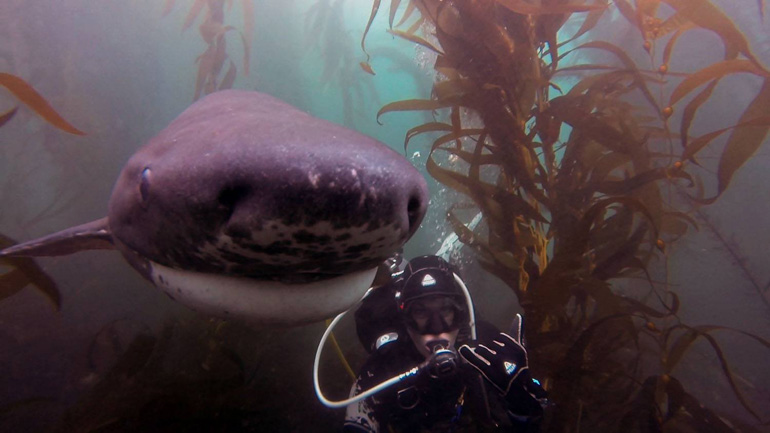 Scuba Diver Girls | © Margo Sanchez