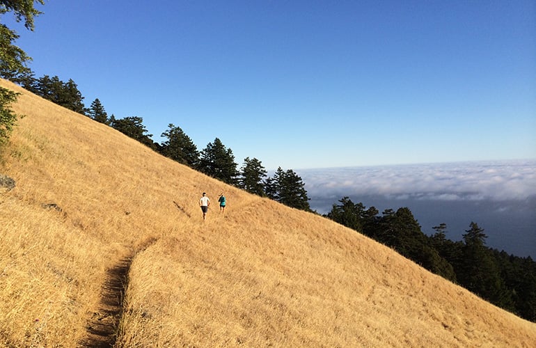 Ryan Sandes on San Francisco 50 miler trail