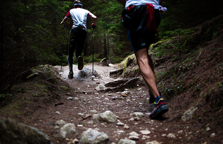 Ultra running training on a forest trail