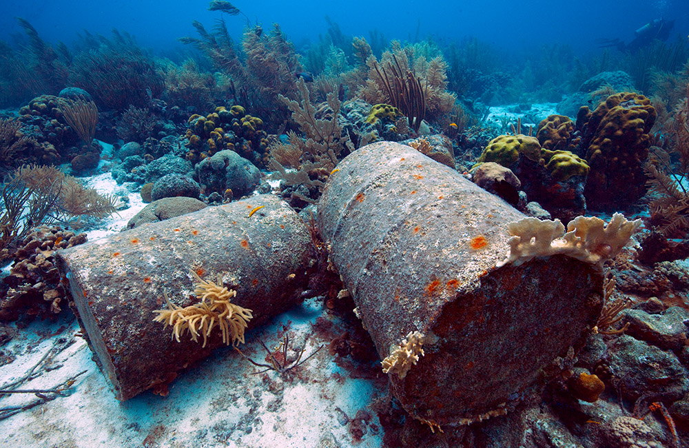 Divers see the damage caused by human activity on the ocean environment more clearly than anyone else.