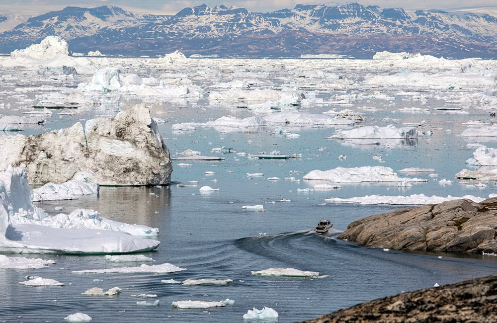 The sea ice disappears earlier each year.