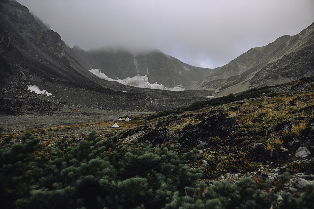 So far, we have made it this far. Image by Margus Riga